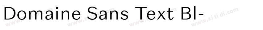 Domaine Sans Text Bl字体转换